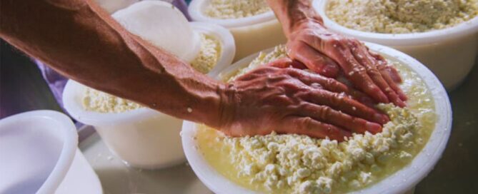 casaro-formaggio-produzione