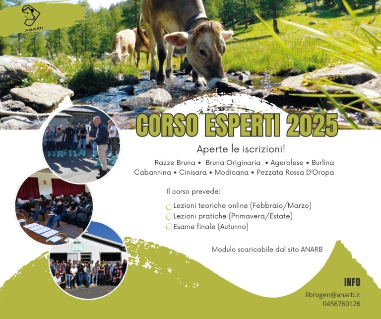 corso-esperti-Anarb