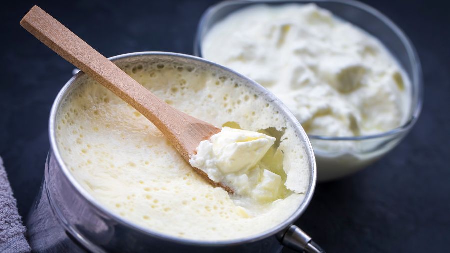 domuscasei-yogurt domuscasei-yogurt