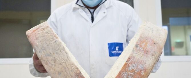 gorgonzola-forme-casaro