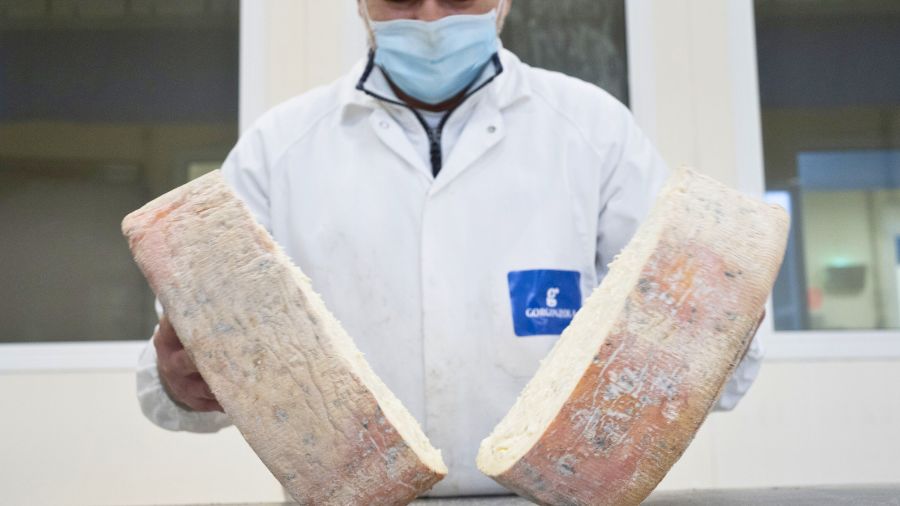gorgonzola-forme-casaro gorgonzola-forme-casaro