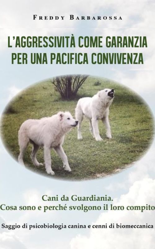 libri-aggressivitàcomegaranziaperunapacificaconvivenza libri-aggressivitàcomegaranziaperunapacificaconvivenza