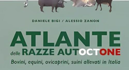 libri-atlantedellerazzeautoctone