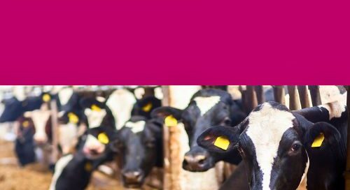 libri-developinganimalfeedproducts