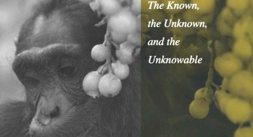 libri-theevolutionofthehumandiete