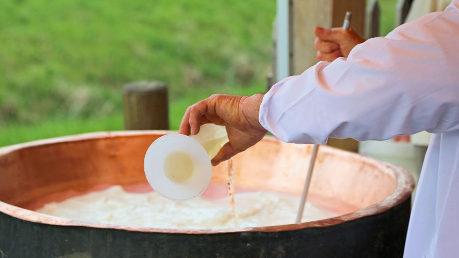 news-caglio-formaggio news-caglio-formaggio