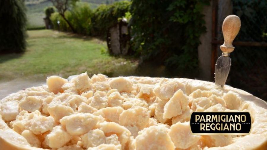 forma-parmigiano-reggiano forma-parmigiano-reggiano