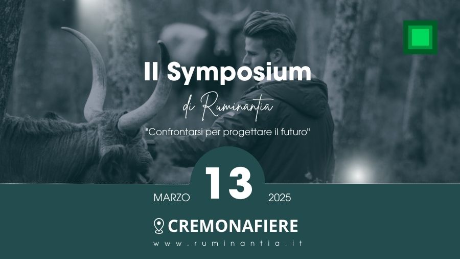 COPERTINE NUOVO SITO (26)