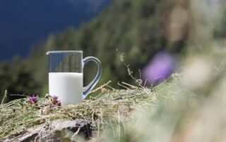 latte fieno - fieno - alto adige