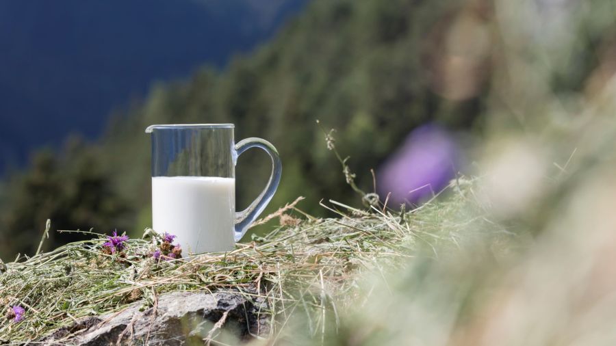 latte fieno – fieno – alto adige latte fieno - fieno - alto adige