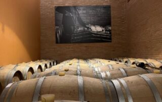 botti-cantina