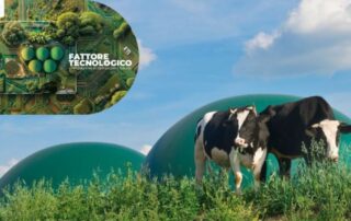 biogas-vacche-pascolo