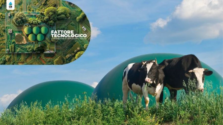 biogas-vacche-pascolo biogas-vacche-pascolo