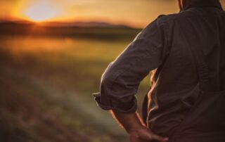 campo-agricoltore-tramonto