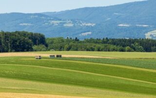 campo-agricoltura-panorama
