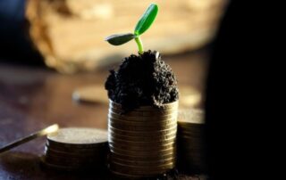innovazione-agribusiness-idea