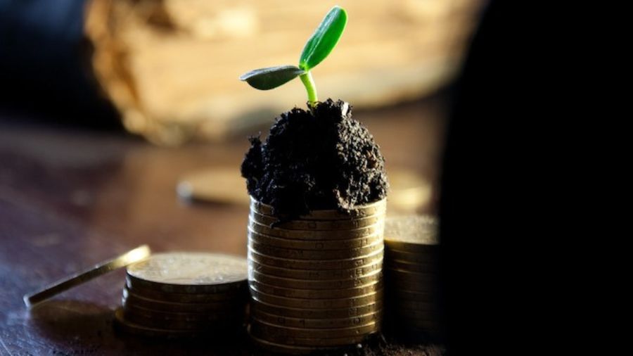 innovazione-agribusiness-idea innovazione-agribusiness-idea