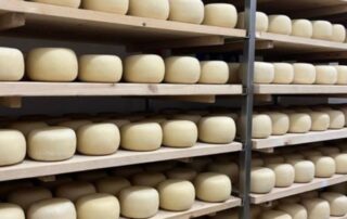 forme-formaggio