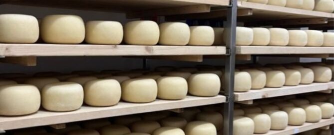 forme-formaggio