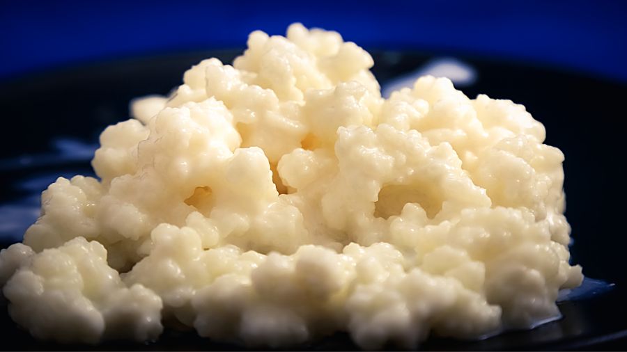 kefir-granuli