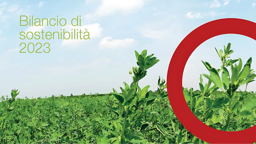 gruppo -carli-bilancio-sostenibilità gruppo -carli-bilancio-sostenibilità