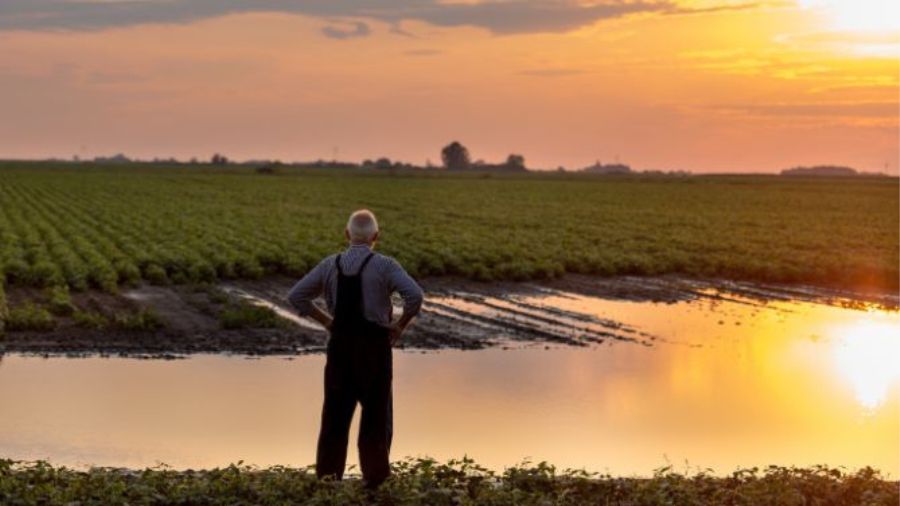 agricoltore-campi-danni-agricoltura agricoltore-campi-danni-agricoltura