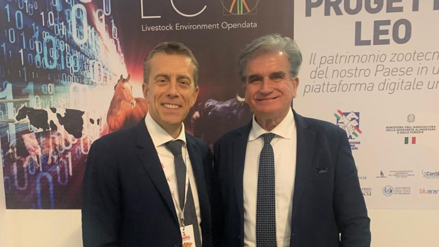 Di Noia e Nocentini Di Noia e Nocentini