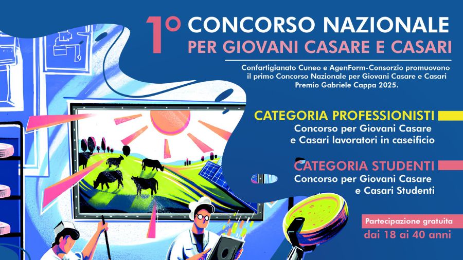 concorso giovani casari concorso giovani casari