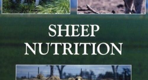 libri-sheepnutrition