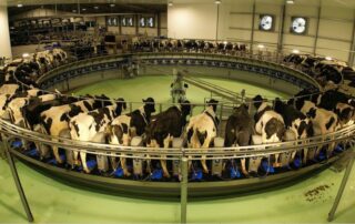 giostra mungitura DeLaval