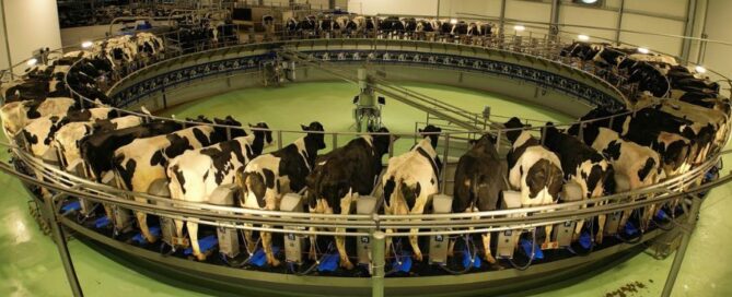giostra mungitura DeLaval