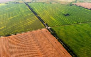 terreni agricoli - campo - agricoltura