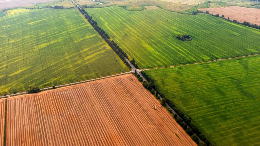 terreni agricoli - campo - agricoltura
