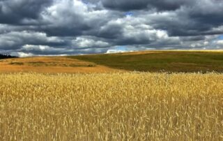 campo-nuvole