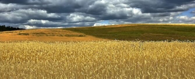 campo-nuvole