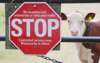 cartello-stop-afta