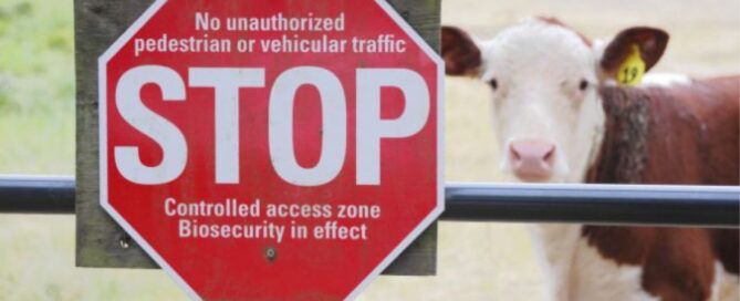 cartello-stop-afta