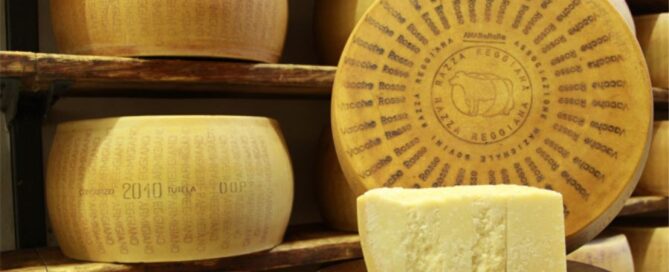 parmigiano-vacche-rosse-reggiane