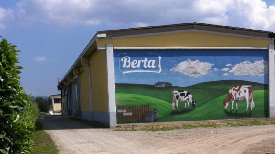berta berta