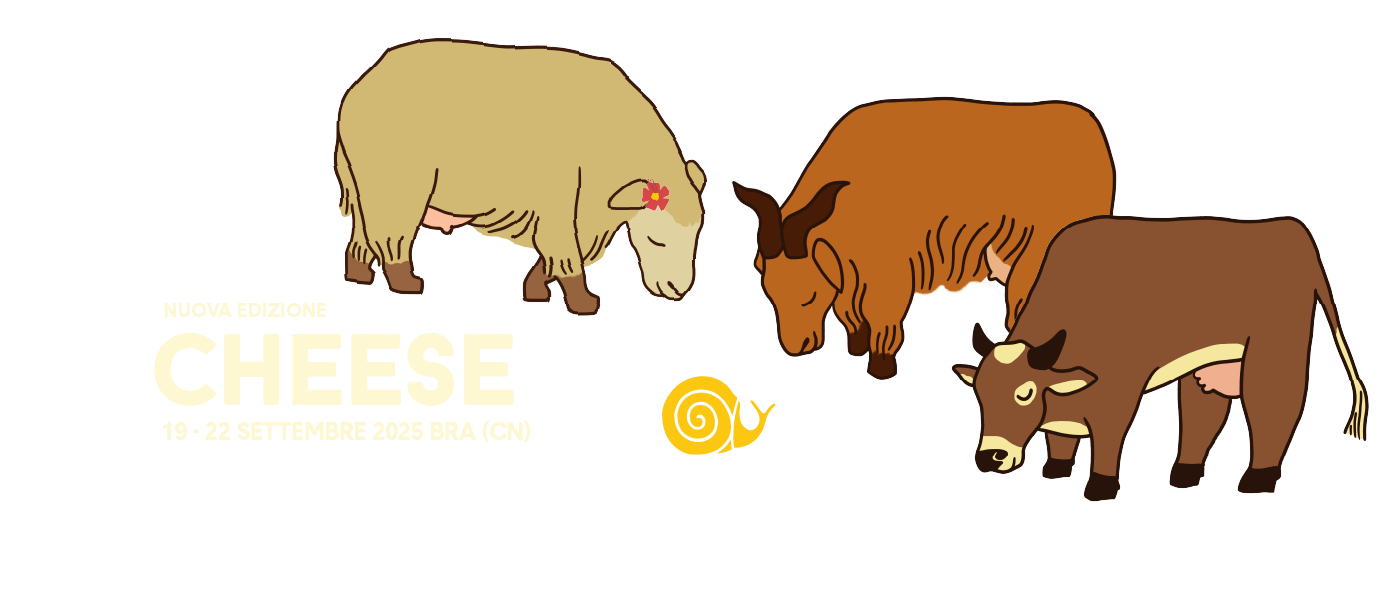 Cheese-Bra-2025