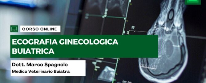 corso-ecografia-buiatrica