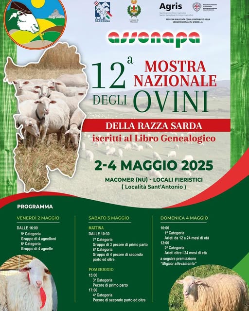 mostra nazionale ovini macomer