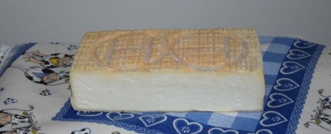 taleggio - formaggio