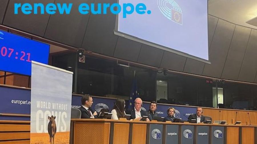 parlamento-europeo-renew-europe
