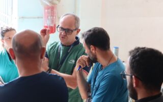 corso-riproduzione-ovini