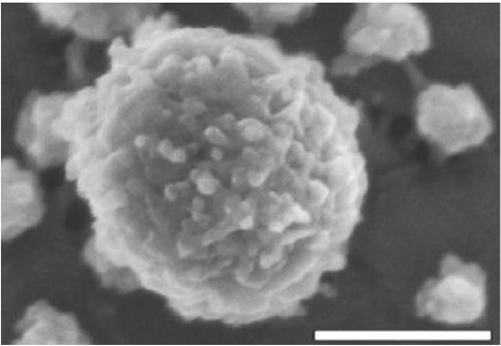 micella-caseina