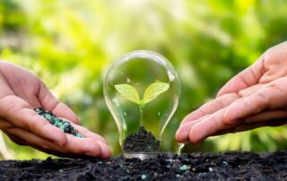 fertilizzanti-innovazione-concimi