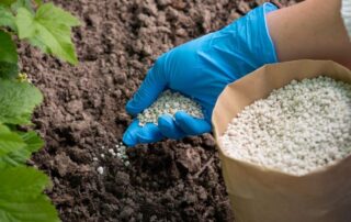 fertilizzanti - terra - agricoltura