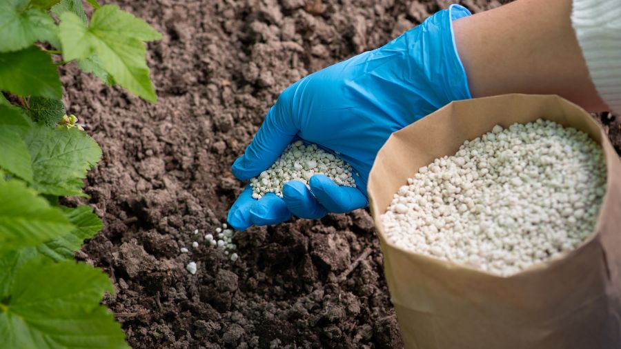 fertilizzanti – terra – agricoltura fertilizzanti - terra - agricoltura