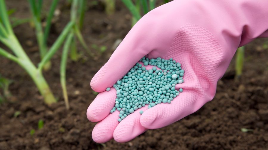 fertilizzanti